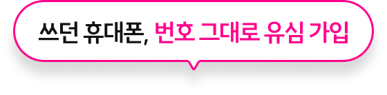 하단 내용 참조